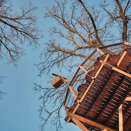 Treehouse Kremilek Lodge