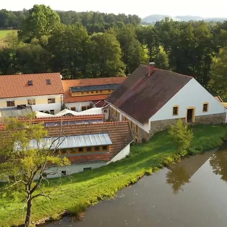 Treehouse Kremilek *