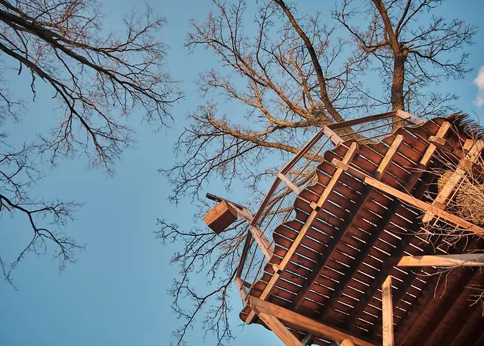 Treehouse Kremilek Lodge